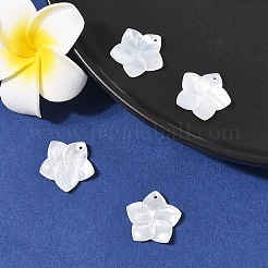 4Pcs Natural White Shell Mother of Pearl Shell Pendants&nbsp;SSHEL-YW0001-10