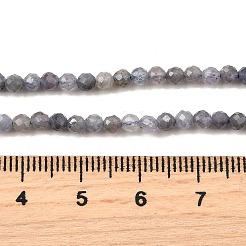 Natural Tanzanite Beads Strands&nbsp;G-S387-A01-3mm