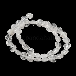Natural Quartz Crystal Beads Strands&nbsp;G-B022-21B