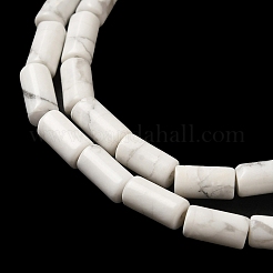 Natural Howlite Beads Strands&nbsp;G-B091-A17-01