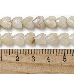 Natural Rainbow Moonstone Beads Strands&nbsp;G-P544-E06-01