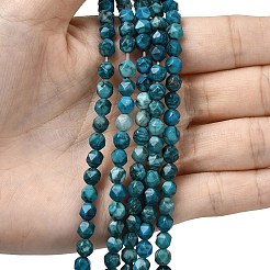 Natural Map Stone Beads Strands&nbsp;G-Z119-A23-01