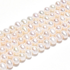 Natural Cultured Freshwater Pearl Beads Strands&nbsp;PEAR-N016-03C