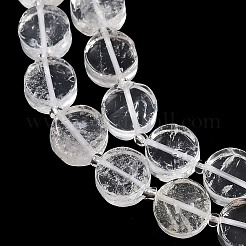 Natural Quartz Crystal Beads Strands&nbsp;G-B125-I01-01