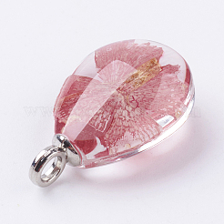 ガラス乾燥花ペンダント  真鍮パーツ  オーバル  プラチナ  レッド  30x18x11mm  穴：3.5mm&nbsp;GLAA-K018-B
