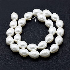 Electroplate Shell Pearl Beads Strands&nbsp;BSHE-G006-07D