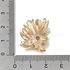Brass Bead Caps&nbsp;KK-H293-05G