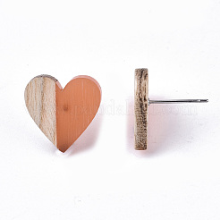 Transparent Resin & Wood Stud Earrings&nbsp;EJEW-N017-002A-D04