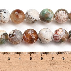 天然の火瑪瑙（染色・加熱）ビーズ連売り  スムーズなラウンド  カラフル  14mm  穴：1.4mm  約26個/連  14.57''（37センチメートル）&nbsp;G-K425-A03-14mm