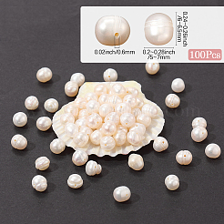 天然養殖淡水真珠ビーズ100個  ポテト  ビスク  6x5mm  穴：0.6mm&nbsp;PEAR-LT0001-17
