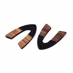 Opaque Resin & Walnut Wood Pendants&nbsp;RESI-N025-029-B