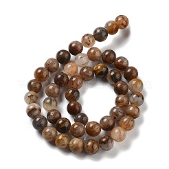 Natural Yellow Tiger Eye Beads Strands&nbsp;G-H238-8mm