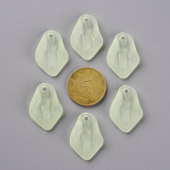 Transparent Frosted Acrylic Pendants&nbsp;MACR-S371-03A-728