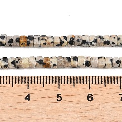 Natural Dalmatian Jasper Beads Strands&nbsp;G-G345-C14-2x4mm
