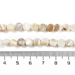 天然淡水シェルビーズ連売り  フラットラウンド  フローラルホワイト  6~6.5x3.5~4mm  穴：0.7mm  約62~63個/連  15.16~15.35''（38.5~39センチメートル）&nbsp;BSHE-H109-11