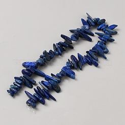 Natural Lapis Lazuli Beads Strands&nbsp;G-TAC0005-02D
