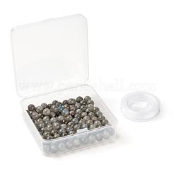 100Pcs 8mm Grade AA Natural  Labradorite Round Beads&nbsp;DIY-LS0002-58