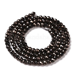 Electroplate Glass Beads Strands&nbsp;GLAA-H021-01B-FP06