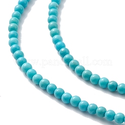 天然石ハウライトビーズ連売り  染め  ラウンド  ターコイズ  2~3mm  穴：0.4~0.5mm  約154~162個/連  約15インチ&nbsp;TURQ-K005-01A