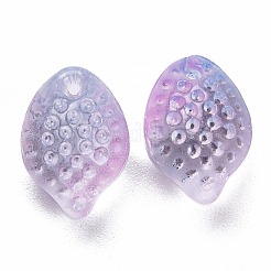 Transparent Glass Charms&nbsp;GLAA-H102-D02