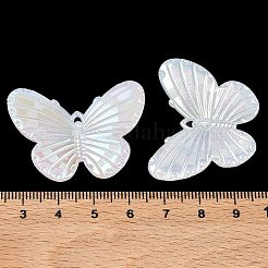 アクリル模造シェルペンダント  蝶のチャーム  貝殻色  30.5x40x5mm  穴：1x1.5mm  約200個/500g&nbsp;OACR-P039-05A