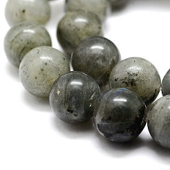 Natural Labradorite Bead Strands&nbsp;X-G-P256-01-8mm