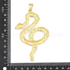 Alloy Big Pendants&nbsp;FIND-I074-04MG