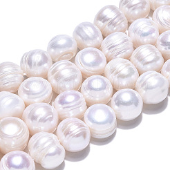 Natural Cultured Freshwater Pearl Beads Strands&nbsp;PEAR-N013-10D