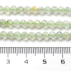Natural Prehnite Beads Strands&nbsp;LS-G-G161-A13-03