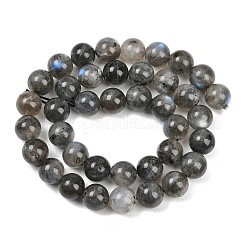 天然石ラブラドライトビーズ連売り  ラウンド  9.5~10.5mm  穴：1.2mm  約39個/連  15.43''（39.2センチメートル）&nbsp;G-Z133-A01-10mm-01