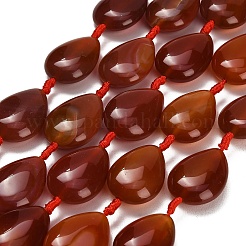 Dyed & Heated Natural Carnelian Beads Strands&nbsp;GG-CBAB9C6-I01-01