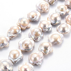 天然ケシパールビーズ連売り  養殖淡水パール  花  貝殻色  14~19x15~17x7~8mm  穴：0.6mm  約24~25個/連  14.96~15.35インチ（38~39cm）&nbsp;PEAR-S020-A01