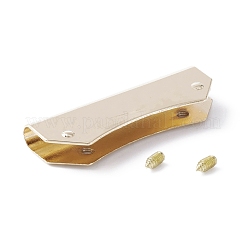 合金装飾バッグエッジハンドウェア  ハンドバッグクリップエッジ  2個ネジ付き  ライトゴールド  16x49x7mm  穴：2.5mm  内径：5mm&nbsp;FIND-WH0112-33LG