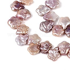 天然バロックケシパールビーズ連売り  有核真珠  スモモの花  トップ掘削  アザミ  10.5~17x10~14x2.5~7mm  穴：0.6mm  約46~57個/連  15.35~15.94インチ（39~40.5cm）&nbsp;PEAR-S020-A04-01