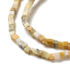 天然クレイジーレースアゲートビーズ連売り  キューブ  2~2.5x2.5~3.5x2.5~3mm  穴：0.4mm  約157~165個/連  14.96~15.75''（38~40センチメートル）&nbsp;G-B064-A03