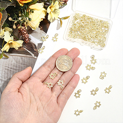 60個の合金チャーム  デビッドチャームの星  長持ちメッキ  丸カン付き  18KGP本金メッキ  13x9x1.6mm  穴：2.5mm&nbsp;FIND-HY0005-39