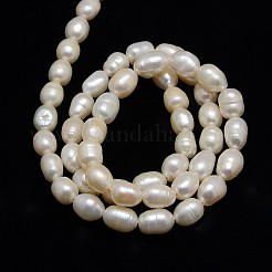 天然養殖淡水パールビーズ連売り  ライス  乳白色  6~8x5~6mm  穴：0.8mm  約48個/連  13.77インチ〜14.17インチ&nbsp;PEAR-L001-B-03