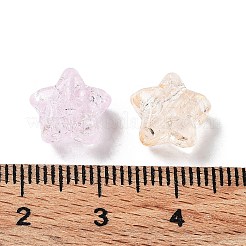 透明なアクリルビーズ  スター  ミックスカラー  10x11x6mm  穴：2mm&nbsp;X-OACR-Z013-36