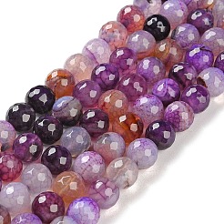 Natural Agate Beads Strands&nbsp;G-M437-C01-01O