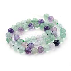 Natural Fluorite Beads Strands&nbsp;G-P318-05-6mm