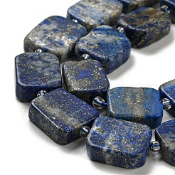 Natural Lapis Lazuli Beads Strands&nbsp;G-Z043-A07-01