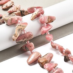 Natural Rhodonite Beads Strands&nbsp;G-C179-E01-01