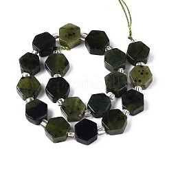 Natural Canadian Jade Beads Strands&nbsp;G-P534-A18-02