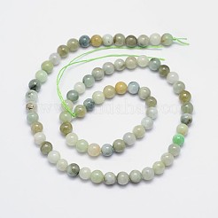 Natural Jadeite Round Bead Strands&nbsp;G-I163-6mm