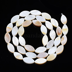 Natural Freshwater Shell Beads Strands&nbsp;SHEL-Q024A-017
