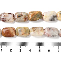 Natural Crazy Lace Agate Beads Strands&nbsp;G-K357-D08-01