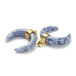Natural Blue Spot Jasper Pendants&nbsp;G-A017-02G