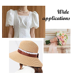 Polyester Lace Trim&nbsp;OCOR-WH011-164B