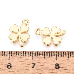 Brass Charms&nbsp;KK-N263-118G