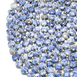 Natural Blue Spot Jasper Beads Strands&nbsp;G-C116-A73-02
